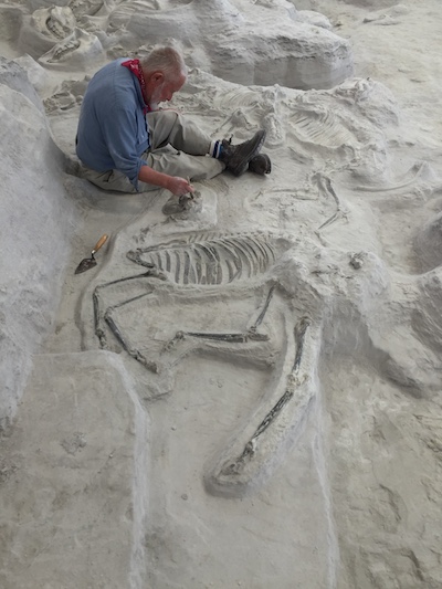 MikeVoorhiesfossilhorse